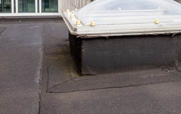 disadvantages of Hole Street flat roofs