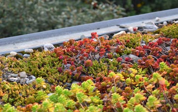 the cost of Hole Street green roof installation