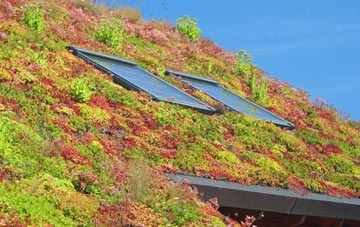 Hole Street living roof systems
