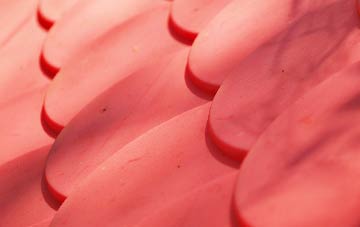 Hole Street plastic roof costs